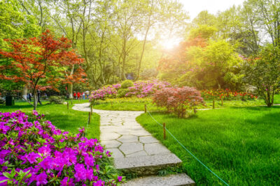 Landscapping