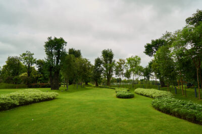 Landscapping
